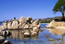 必一运动官网:約克:安東尼表現還能再差 桑喬最好遠離一線隊.